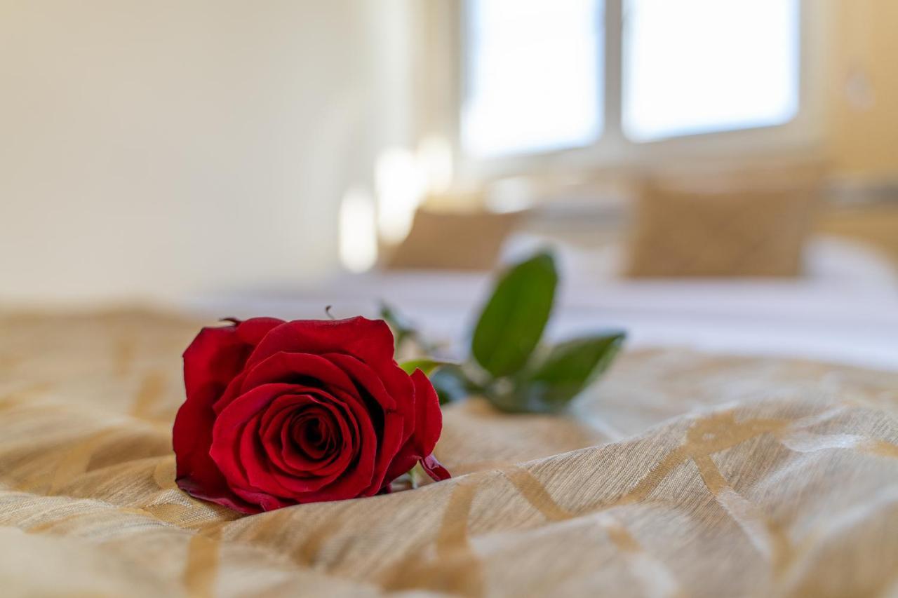 Vila Narcis Ζλάτιμπορ Εξωτερικό φωτογραφία
